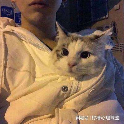 媚者无双破解版下载