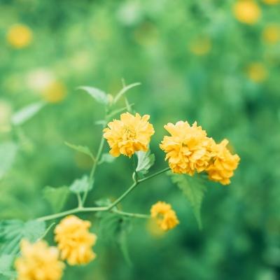 星际裂痕九游版下载